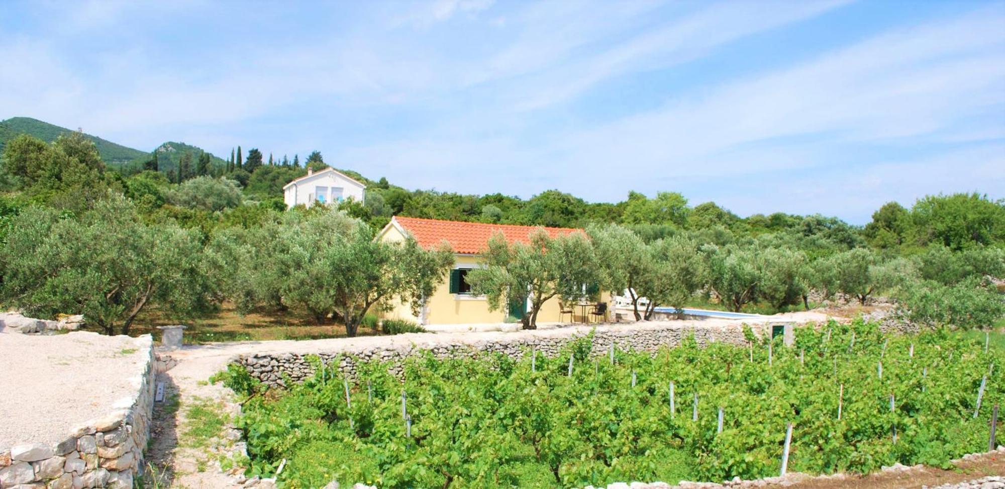 Вилла Vineyard House & Olive Grove House Рачишче Экстерьер фото