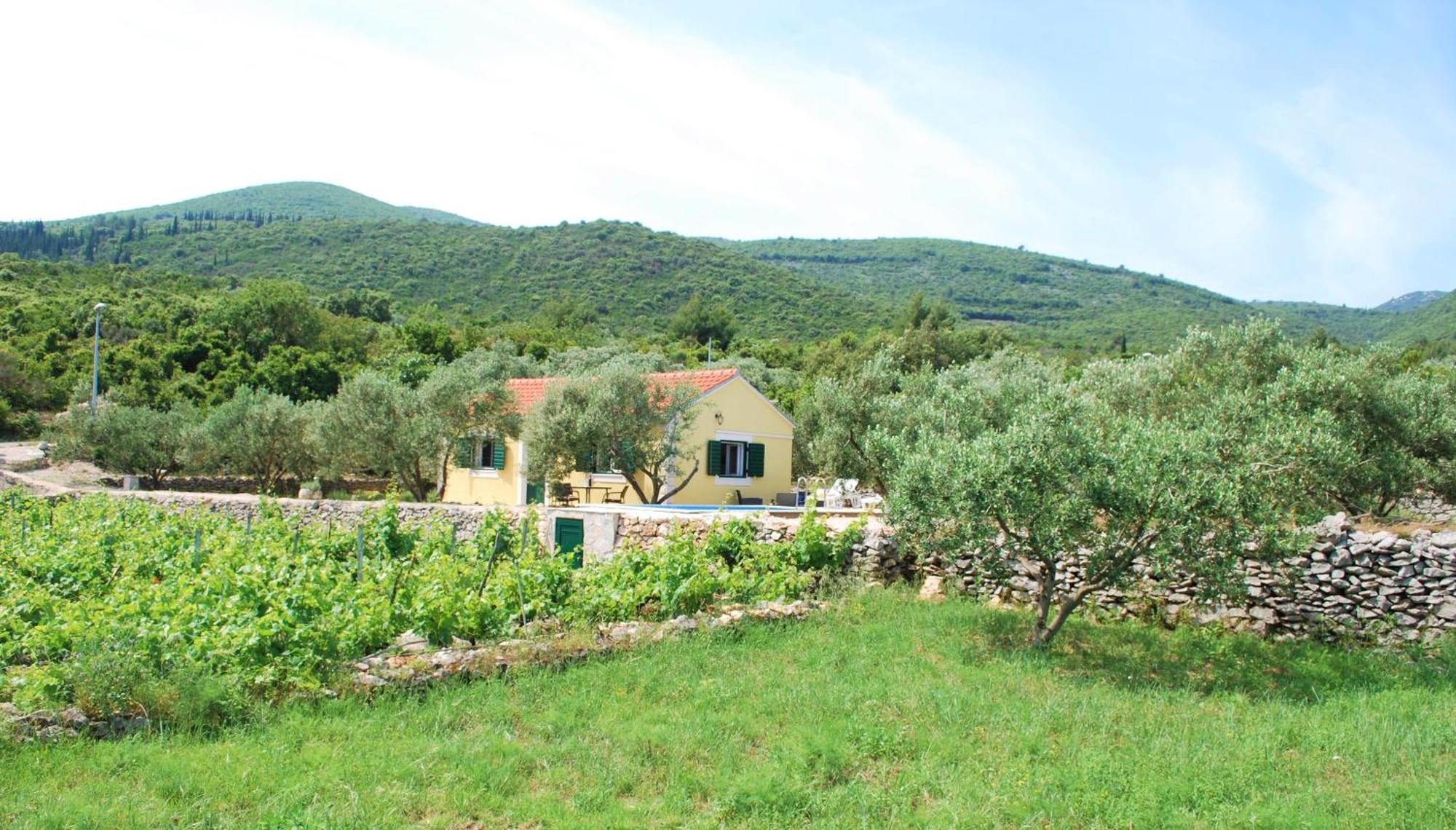 Вилла Vineyard House & Olive Grove House Рачишче Экстерьер фото