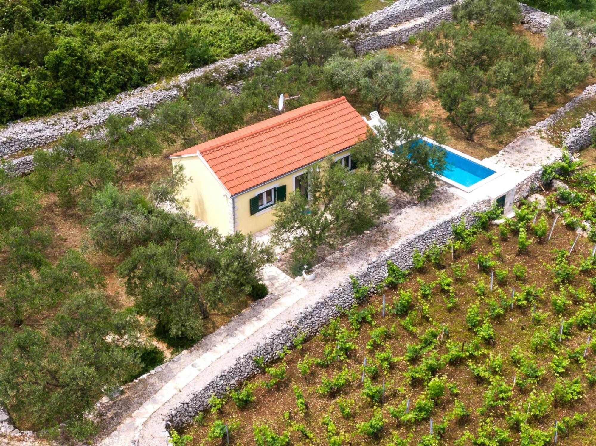 Вилла Vineyard House & Olive Grove House Рачишче Экстерьер фото