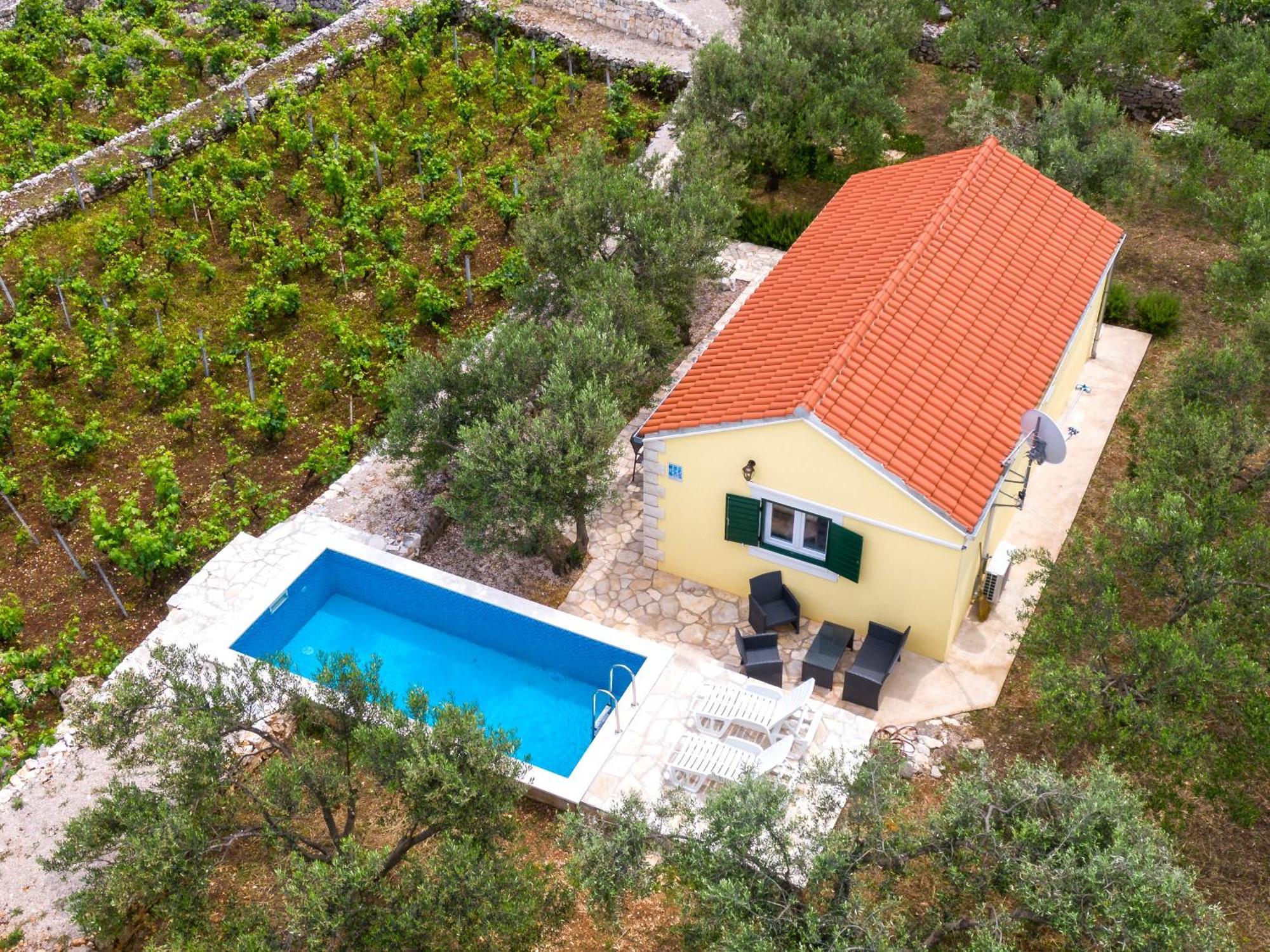 Вилла Vineyard House & Olive Grove House Рачишче Экстерьер фото